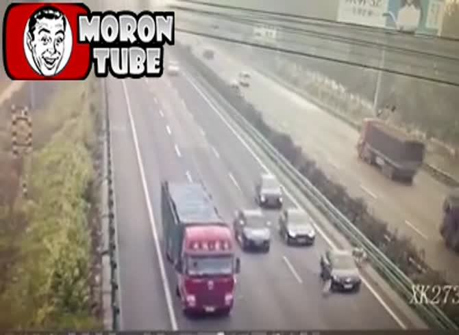 Video :Carnage on a Chinese roadway is caused by sheep